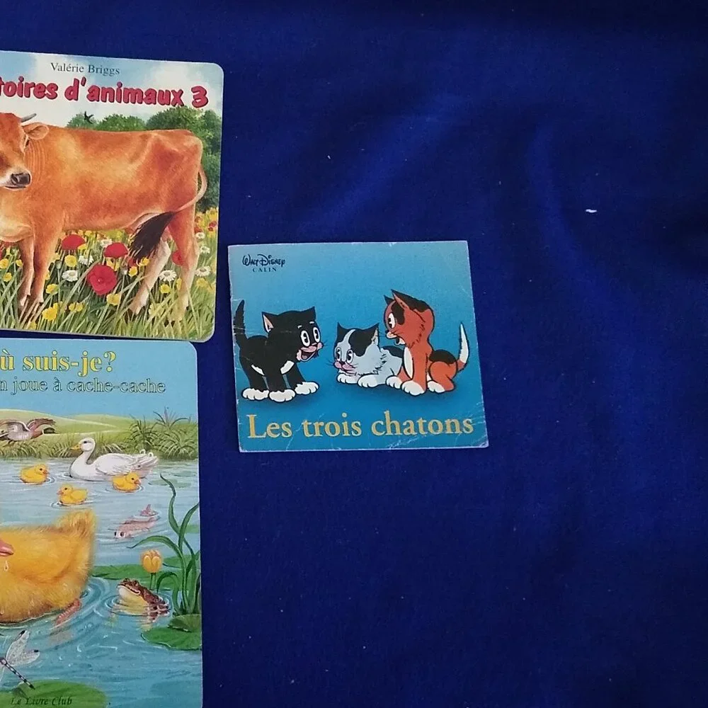 Les Trois Chatons, Mots et Jeux Ete, Histoire d'Animaux, Saisons, Coin Coin X 5
